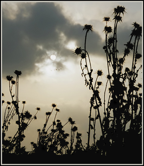 photo "Evening" tags: abstract, black&white, 