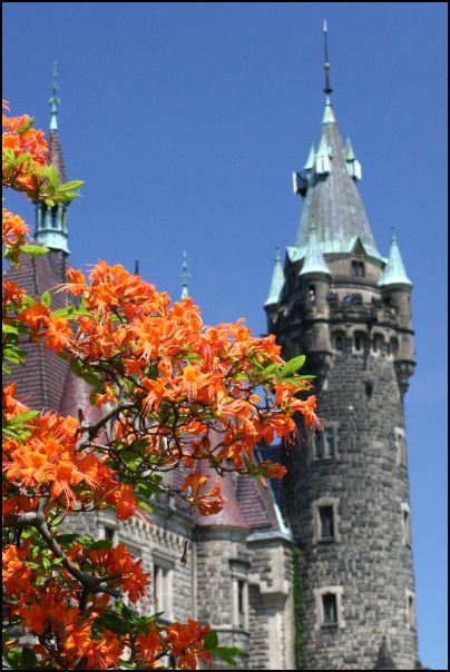 фото "Castle Moszna in the Flowers" метки: путешествия, архитектура, пейзаж, Европа