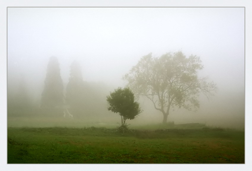 photo "***" tags: landscape, summer
