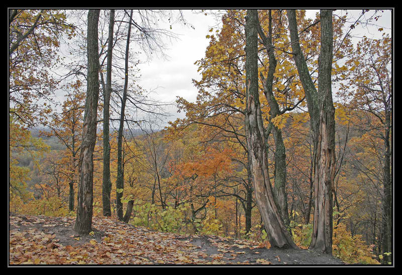 photo "***" tags: landscape, autumn