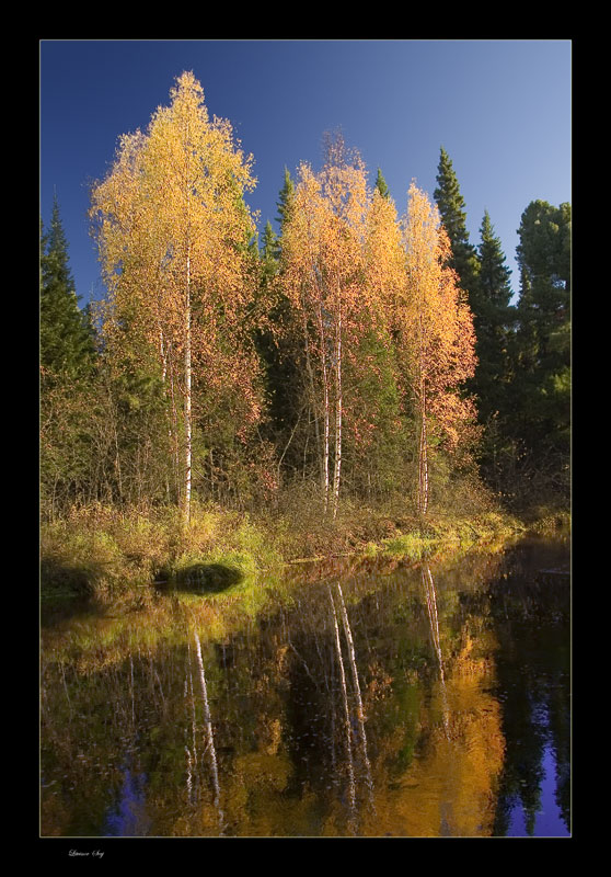 photo "***" tags: landscape, autumn