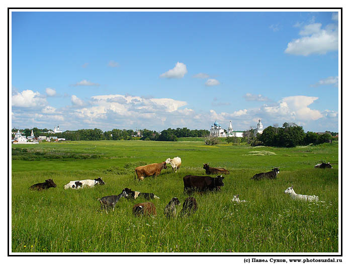 photo "***" tags: landscape, summer