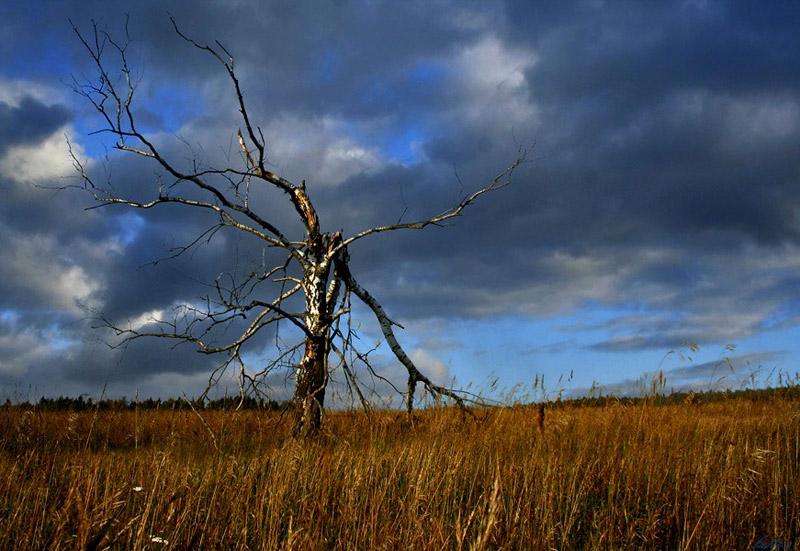 photo "***" tags: landscape, nature, clouds