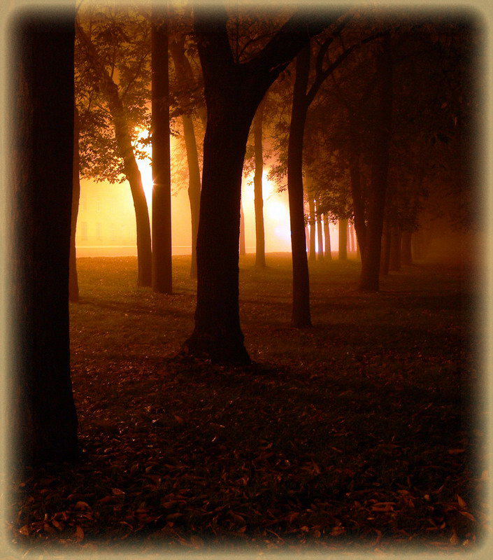 фото "туман" метки: пейзаж, природа, ночь