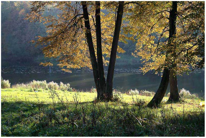 photo "***" tags: landscape, autumn