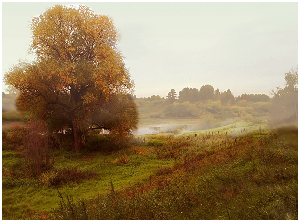 photo "Autumn fog" tags: landscape, autumn