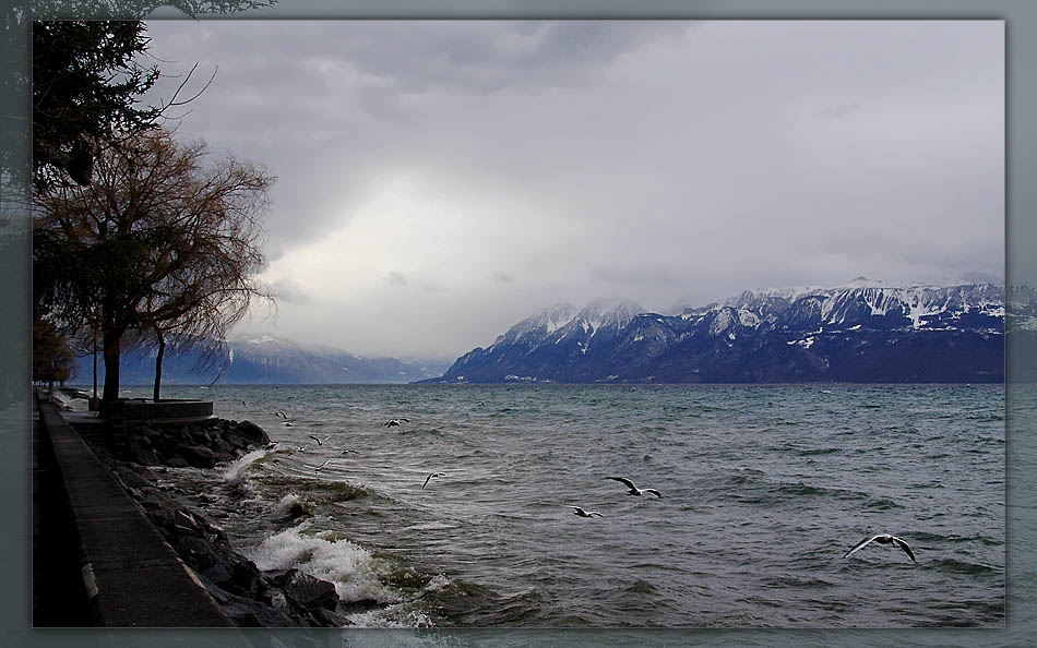 photo "Bad weather" tags: landscape, water