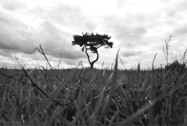photo "Holding up the sky" tags: landscape, 