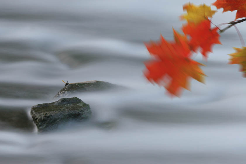 photo "Flight of time" tags: landscape, autumn, water