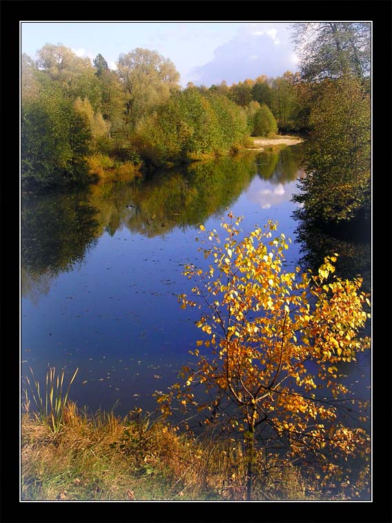 фото "Березка" метки: пейзаж, природа, вода