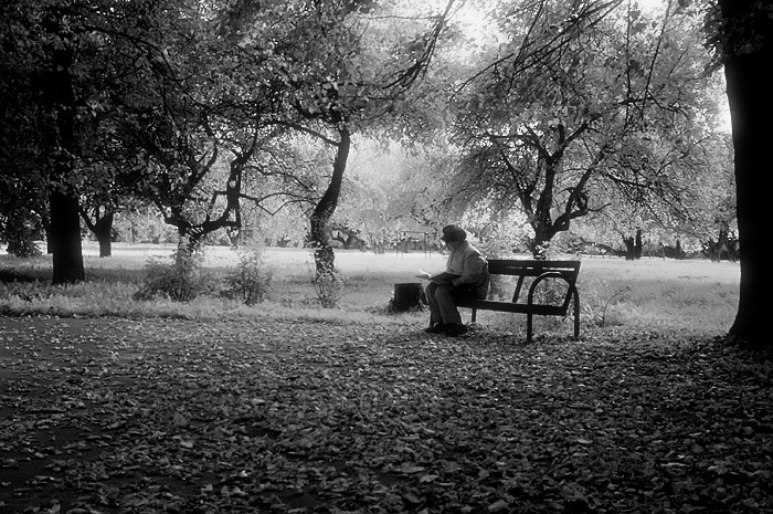 photo "the transient" tags: landscape, black&white, 