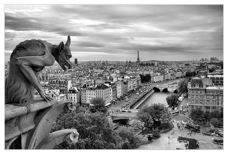 фото "Над Парижем" метки: архитектура, пейзаж, 