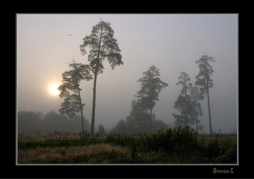 photo "***" tags: landscape, autumn