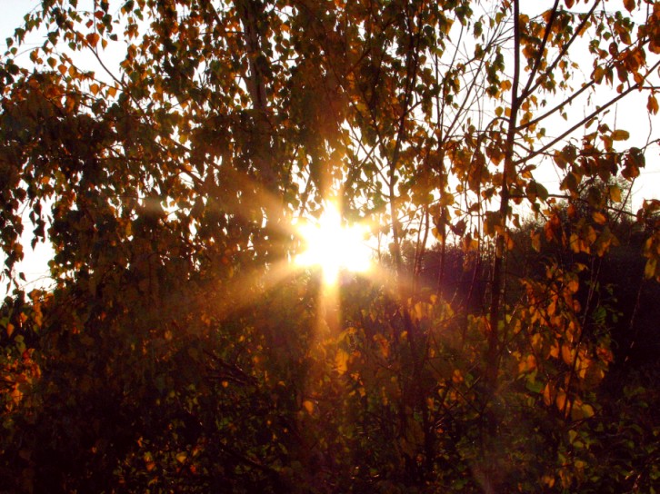 photo "***" tags: landscape, sunset
