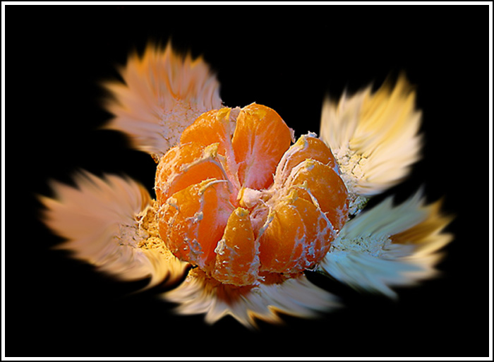 фото "Мандариновый цветок" метки: разное, 