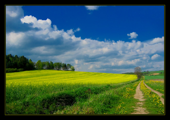 фото "***" метки: пейзаж, 