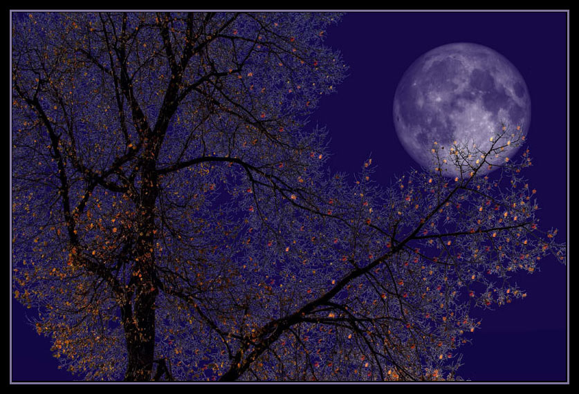 фото "Осенняя ночь" метки: пейзаж, ночь, осень