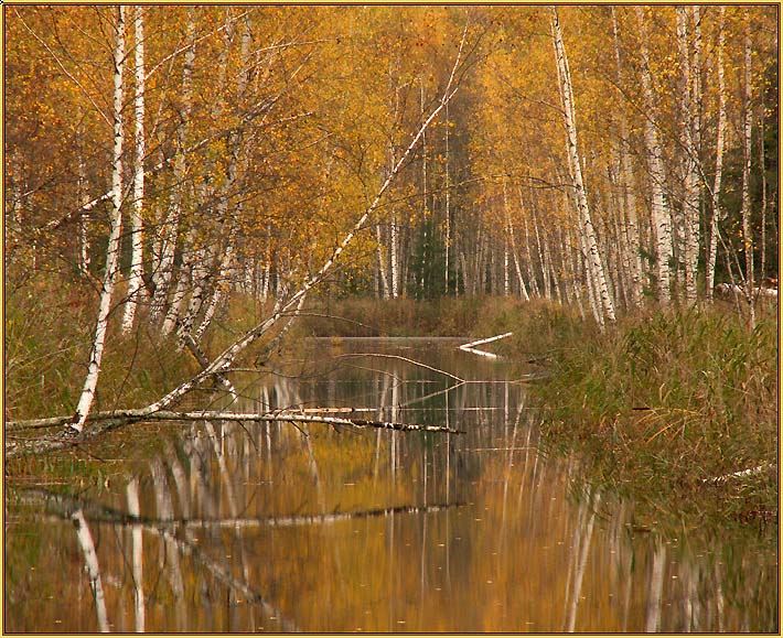 фото "Отражение чуда" метки: пейзаж, вода, осень