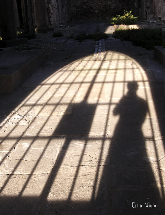 photo "***" tags: misc., genre, 