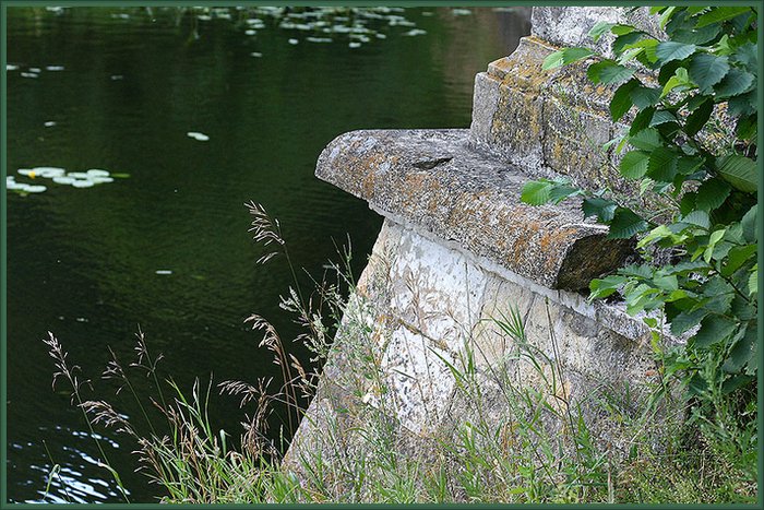 photo "Fragment" tags: landscape, summer
