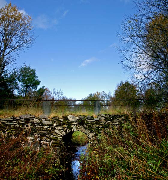 photo "Fall in Trondheim" tags: landscape, autumn