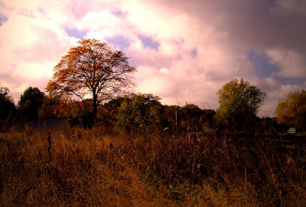 photo "Three and light" tags: landscape, autumn