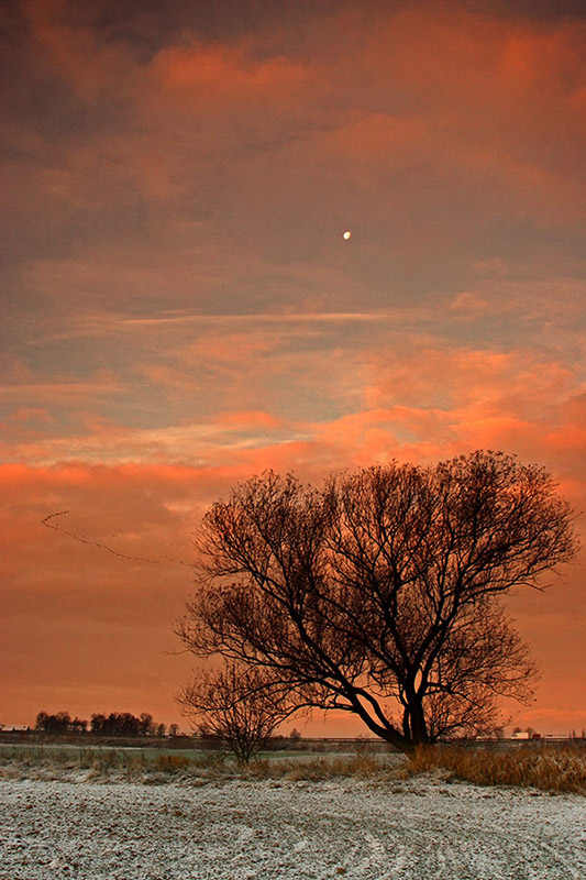 photo "ticket to the moon" tags: landscape, clouds, sunset