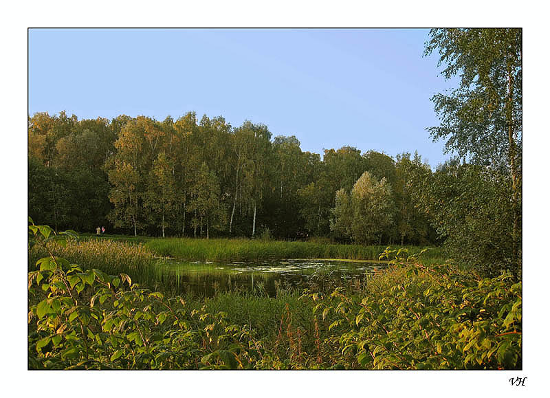photo "First autumn days" tags: landscape, autumn, forest