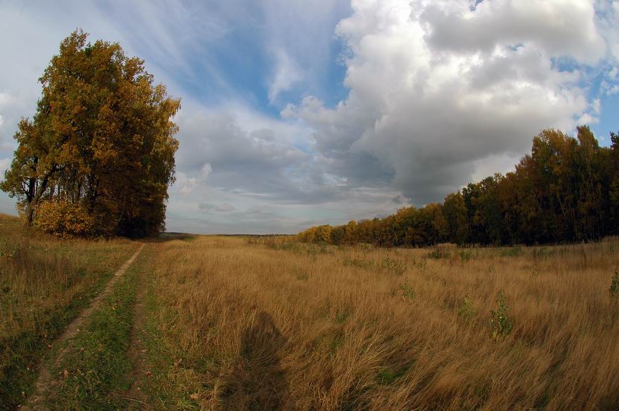 фото "Золотая осень" метки: , 