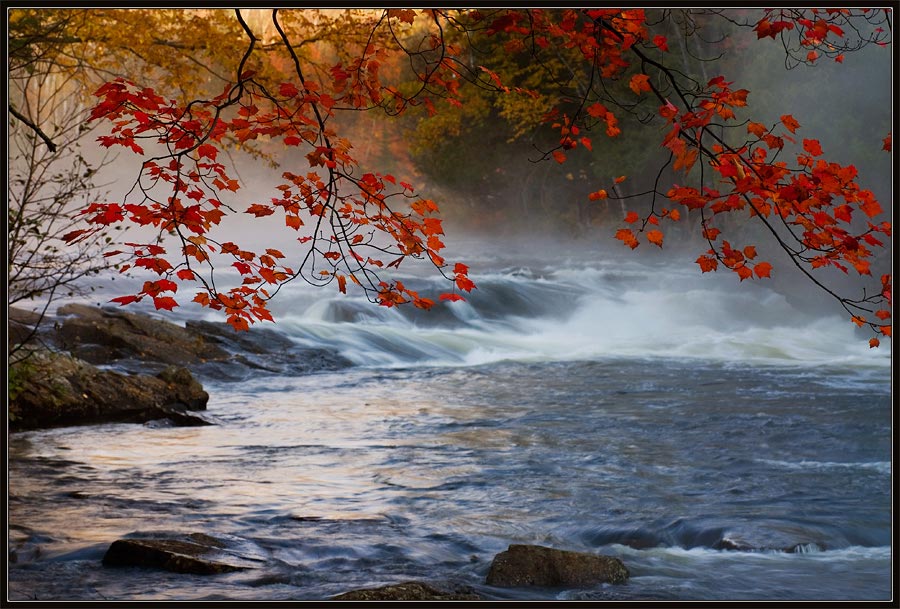 photo "The Bloom of Fall" tags: landscape, autumn