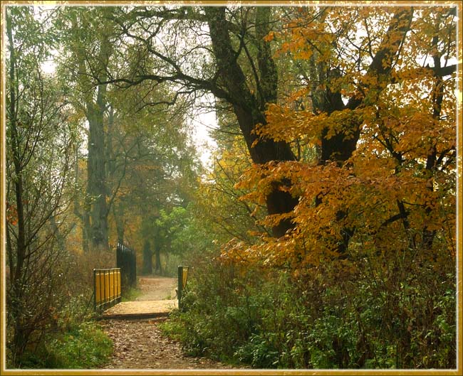 фото "***" метки: пейзаж, лес