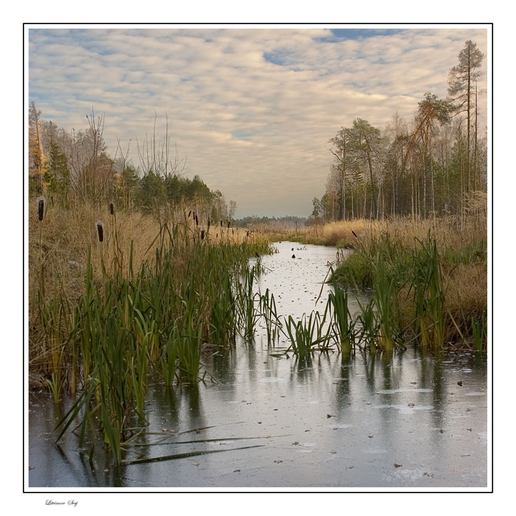 photo "***" tags: landscape, autumn