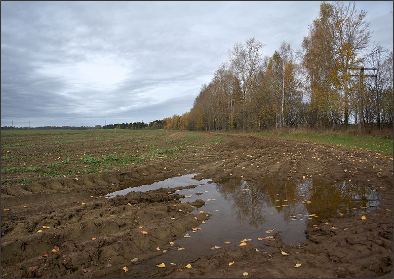photo "*****" tags: landscape, autumn