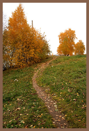 photo "fall...to the lake..." tags: landscape, autumn