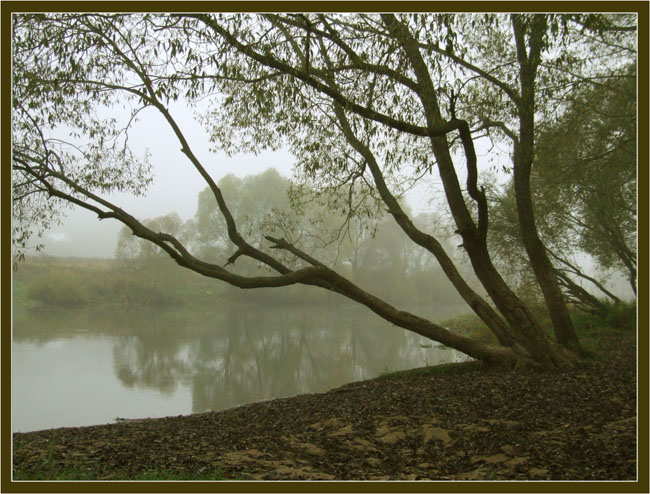 photo "Autumn plage" tags: landscape, water