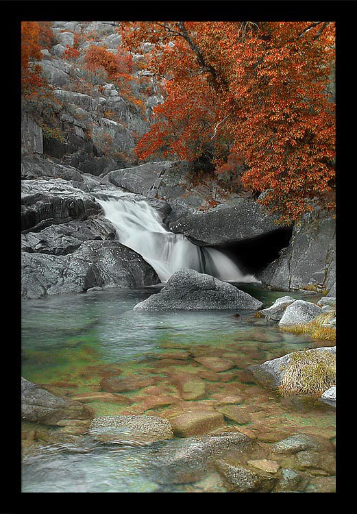 фото "Autumn in the lost River" метки: пейзаж, 