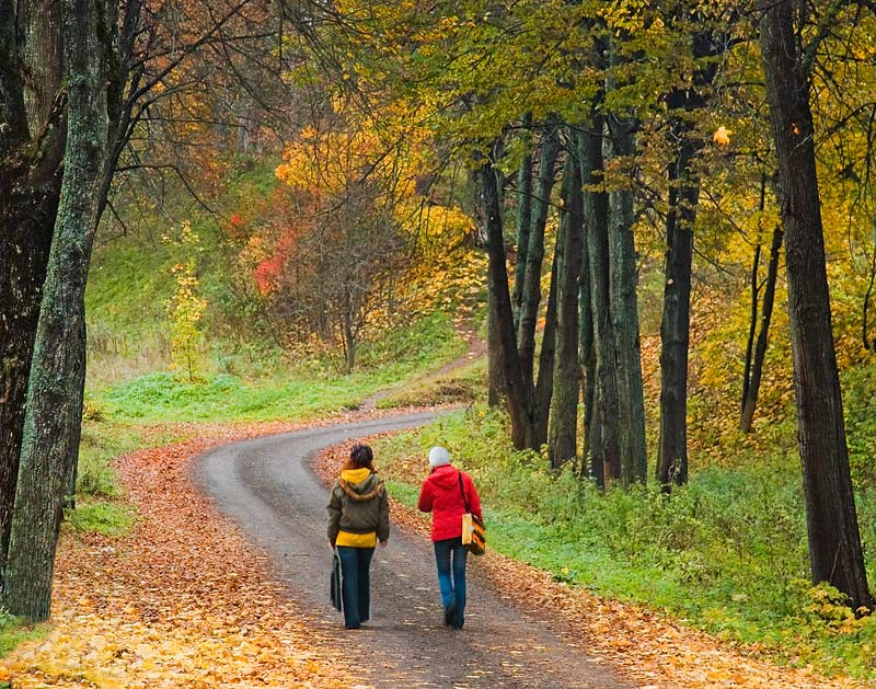 фото "На пленэр" метки: пейзаж, жанр, осень