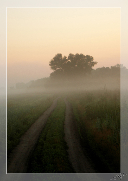 фото "дорага в туман" метки: пейзаж, закат