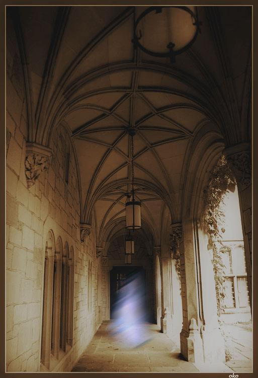 photo "The house with ghosts" tags: genre, architecture, landscape, 