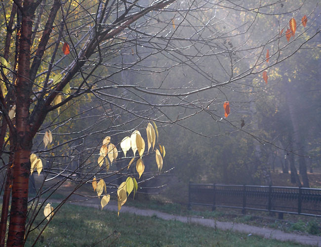 photo "***" tags: landscape, autumn