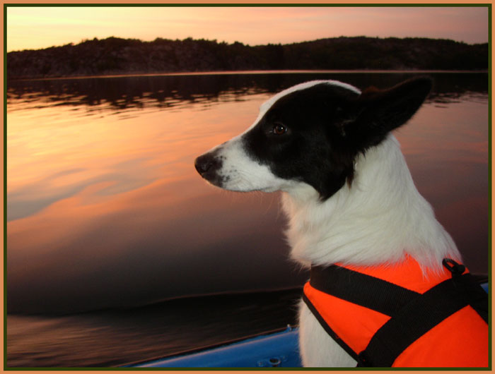 photo "Adriana" tags: nature, pets/farm animals