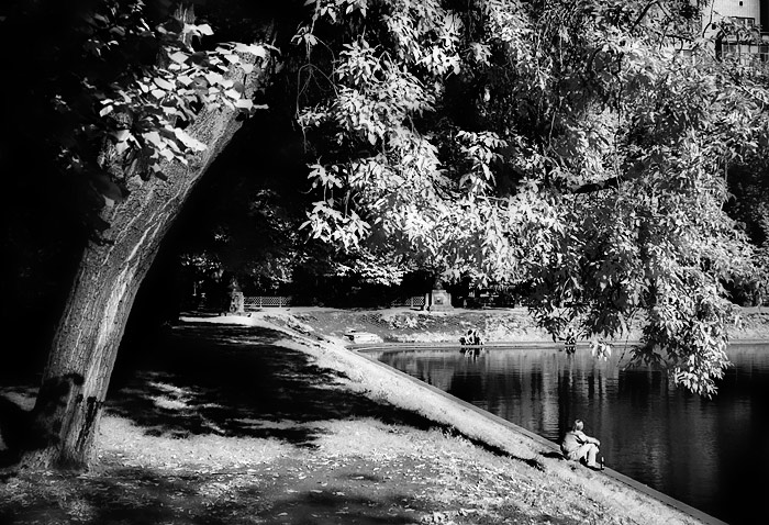 photo "another-bank" tags: black&white, landscape, 