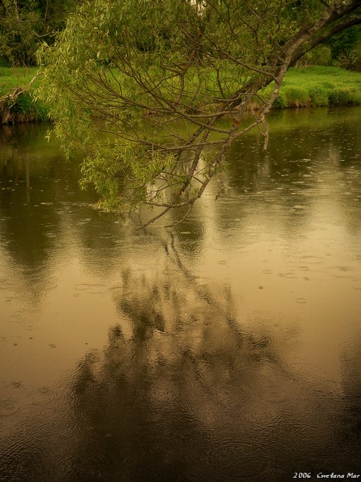фото "Летний дождь" метки: пейзаж, вода