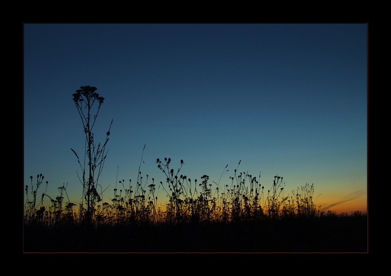 photo "Warm autumn evening" tags: landscape, autumn, sunset