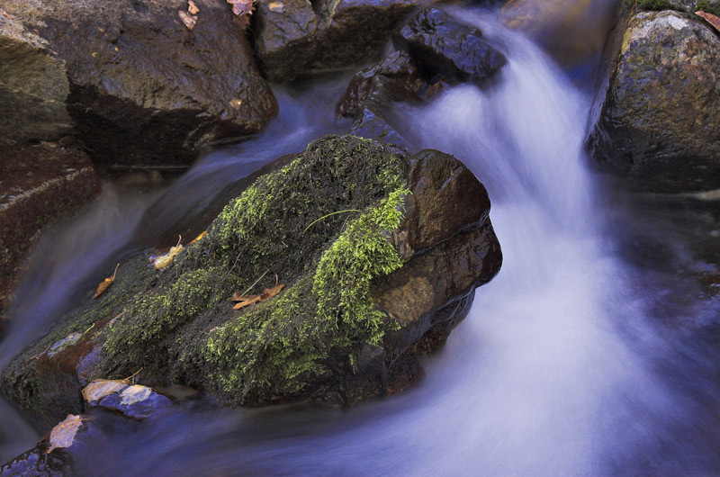 photo "***" tags: landscape, autumn, water