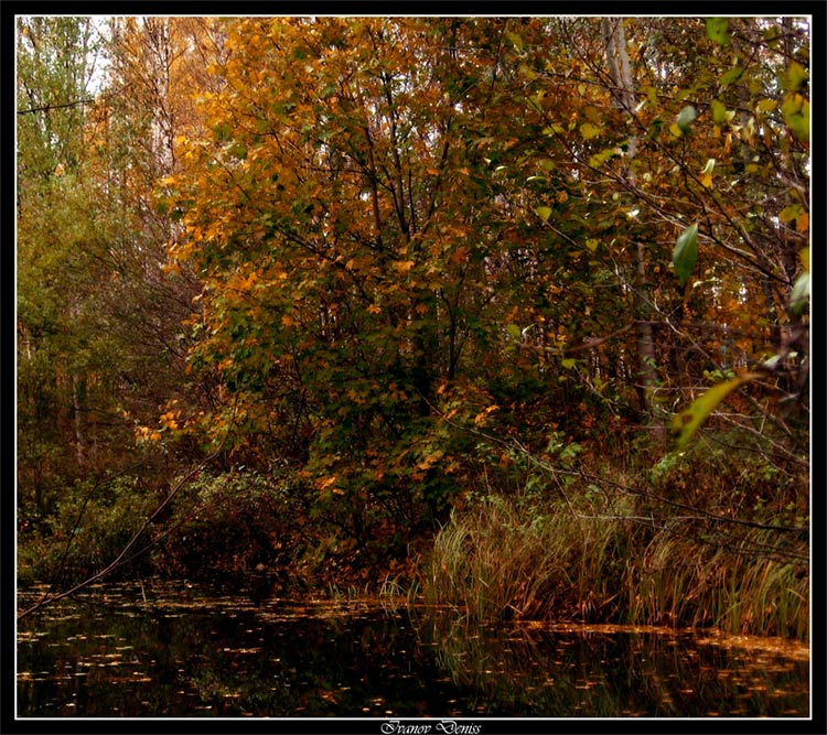 photo "Late autumn" tags: landscape, autumn, water