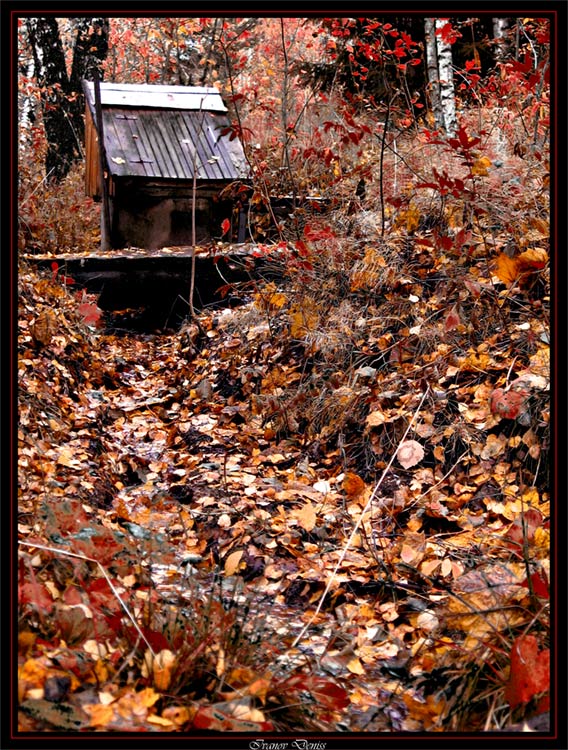 photo "***" tags: abstract, montage, 