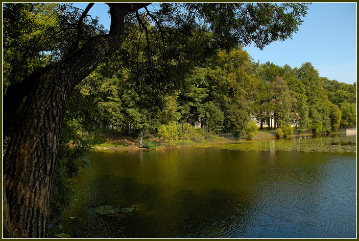 photo "***" tags: landscape, forest, water