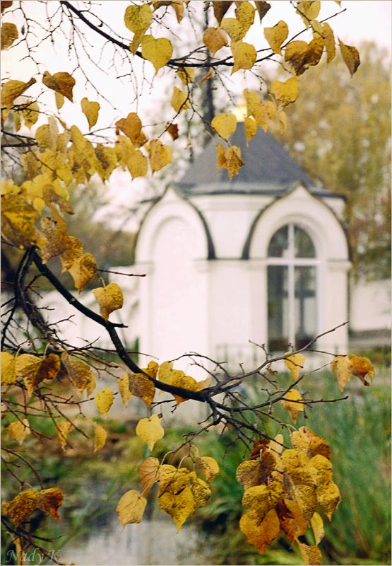 photo "Not yet rainy.. Not sad.. Autumn." tags: landscape, autumn