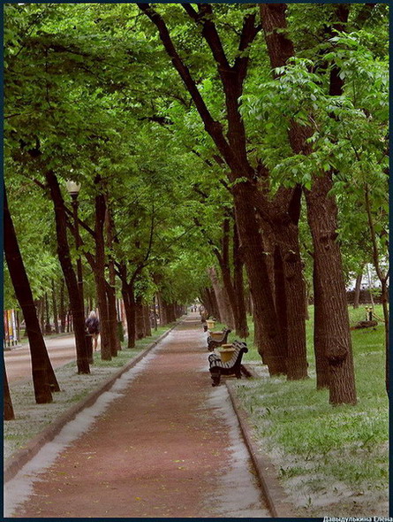 фото "тополиный пух, жара, июнь" метки: пейзаж, разное, 